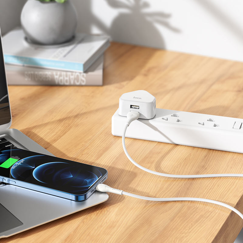 Hoco - Grandiose Dual Port Charger
